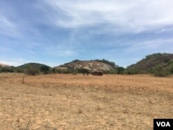 Despite forecasts of above-average rainfall, some of parts of Zimbabwe have yet to receive rains a month after the beginning of the season.