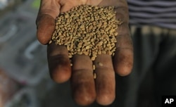 Cameroon's farmers must cope with the rising cost of inputs like seed and fertilzer
