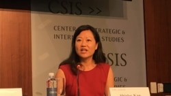 资料照片：前美国国会研究处亚太安全事务研究员简淑贤参加《台湾关系法》40年座谈会 （2019年4月9日）