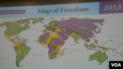 2013 世界自由图：绿色为自由地区，黄色为部分自由地区，紫色为不自由地区(美国之音钟辰芳拍摄)