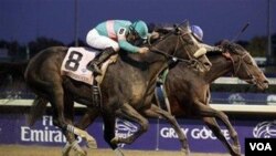 DDel lado interior Blame consigue contener la atropellada final de Zenyatta montada por Mike Smith, para ganar el Clasico Copa Criadores.