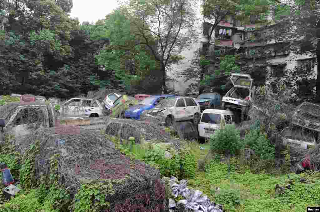 Tumpukan rongsokan kendaraan yang tertutup tumbuh-tumbahan tampak di Chengdu, provinsi Sichuan, China pada 30 April 2016.