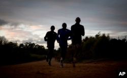 Kenyan athletes train just after dawn, in Kaptagat Forest in western Kenya.