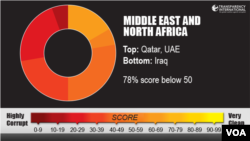 Transparency International, Middle East and North Africa region