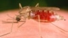 Malária aumenta em Malanje 