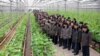 북한, 첫 농업 분조장 대회...포전담당제 확대할 듯