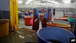 FILE - A government raid empties a shrimp shed in Samut Sakhon, Thailand, Nov. 9, 2015. Modern-day slavery often is considered an acceptable business practice in the country's seafood export capital.