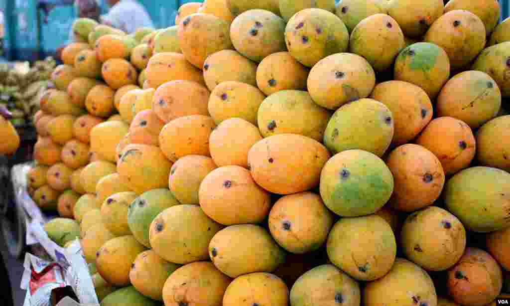 آم کی ایک اور قسم دیکھئے