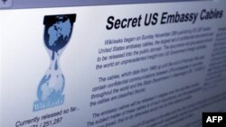 WikiLeaks:İsrail və Çili İranın Latın Amerikasında fəaliyyətlərini birgə izləyib