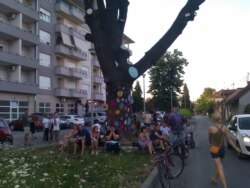 Banjalučani i Stari hrast, 28.07.2012., Banja Luka (Foto: Inicijativa 'Spasimo Picin park')