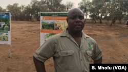 Cosmos Magorogosho, head of the International Maize and Wheat Improvement Center, says vitamin-A fortified, drought-resistant maize varieties that his organization is developing will ensure food security across Africa if widely adopted. Magorogosho is pictured in Gokwe, Zimbabwe, September 2017. 