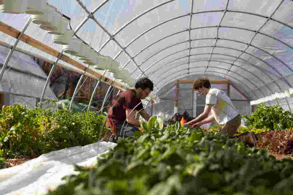 EcoCity es una granja que puede producir vegetales en cualquier época del año, sin importar la estación.