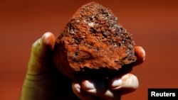 资料照：一名澳大利亚矿工手握澳西部地区产出的一块铁矿石。
