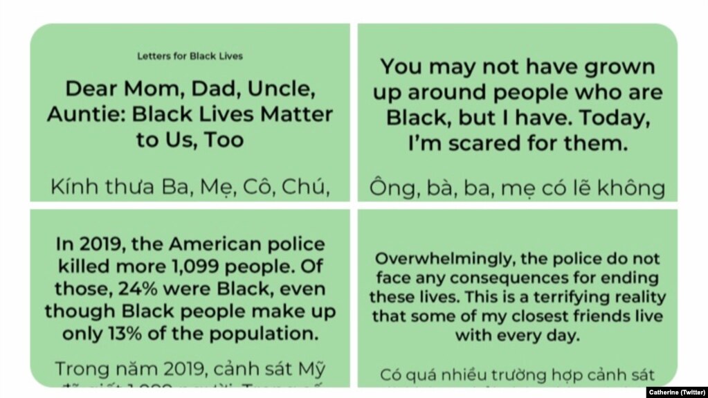  Những thông điệp của các bức thư Letters for Black Lives kèm với phần dịch tiếng Việt được Catherine Trần thu thập để chia sẻ với gia đình và bạn bè nhằm giúp họ hiểu về cuộc tranh đấu của người da đen đòi quyền bình đẳng. (Twitter Catherine)