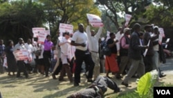Zimbabwe Protest