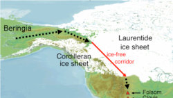 Beringia land bridge