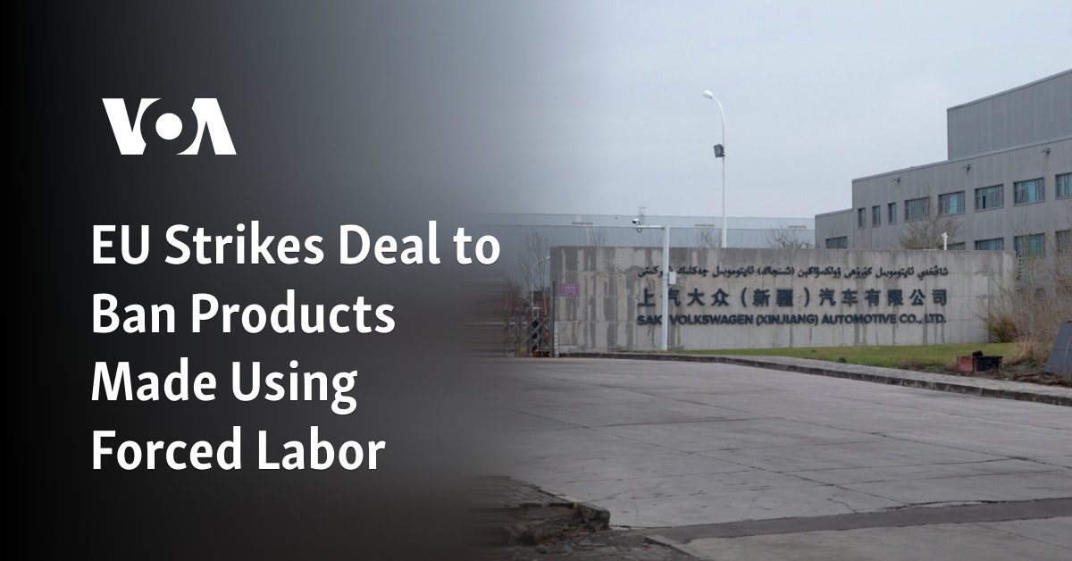 EU Strikes Deal to Ban Products Made Using Forced Labor