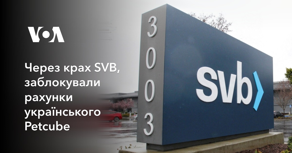 The collapse of SVB affected the activities of Ukrainian Petcube