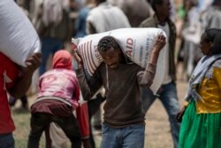 An Ethiopian man carries a sack of wheat on his shoulders to be distributed by the Relief Society of Tigray in the town of Agula, in the Tigray region of northern Ethiopia, on Saturday, May 8, 2021. (AP Photo/Ben Curtis)