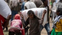 NGO Urges UN Action to End Tigray Violence, Famine