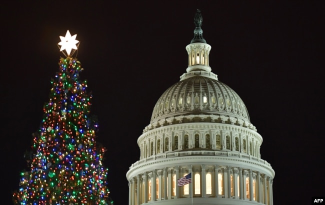 the capitol christmas tree on the west front of the us capitol in washington dc - Christmas In The United States the capitol christmas tree on the west front of the us capitol in washington dc - Christmas In The United States