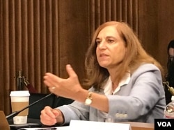 资料照：葛莱仪2019年9月4日参加美中经济与安全审查委员会听证会。