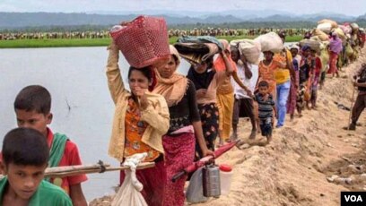 Ozarbayjon seks com Sichqoncha ayolning mushukini yalaydi