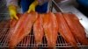 US Regulators Approve Genetically Modified Salmon