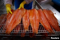 FILE - A worker inspects salmon fillets at processing plant.
