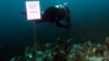 Ancient Shipwreck to Be Made Accessible to Divers in Greece