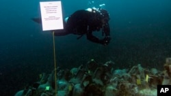 An archaeologists dives to ancient amphoras from a 5th Century B.C. shipwreck near the coast of Peristera, the first ancient shipwreck to be opened to the public in Greece, April 7, 2019.