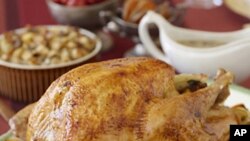 If they did eat turkeys at the first Thanksgiving, they were probably not as plump as today's holiday birds.