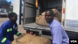 Felix Tarutsvira, right, works with another Zimbabwe farmer to take their tobacco to an auction floor in Harare. They say they prefer the "golden leaf," as it offers them better returns than maize, the country’s staple crop, March 2017. (S. Mhofu/VOA)