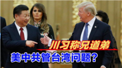 海峡论谈:川习称兄道弟 美中共管台湾问题?