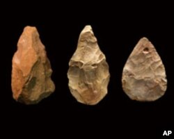 Multipurpose tools used to chop wood, butcher animals, and make other tools -- dominated early human technology for more than a million years.