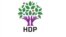 HDP Logo