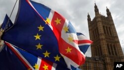 Anti-Brexit protesters hold onto their flags and placards as they demonstrate outside the Houses of Parliament in London, March 26, 2019.