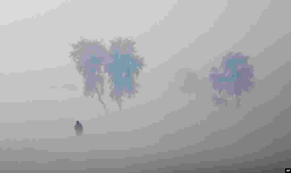 Seorang petani berjalan di lahan yang diselimuti kabut tebal di kota Hisar, India.