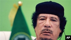 Libyan leader Moammar Gadhafi talks during the first session of the 3rd Africa-EU Summit in Tripoli, Libya, November 29, 2010 (file photo)