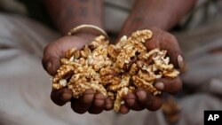 In this 2013 file photo, an Indian worker holds walnuts at a market on the outskirts of Jammu, India. India is a major producer of walnuts along with China, Iran and the U.S. (AP Photo/Channi Anand)