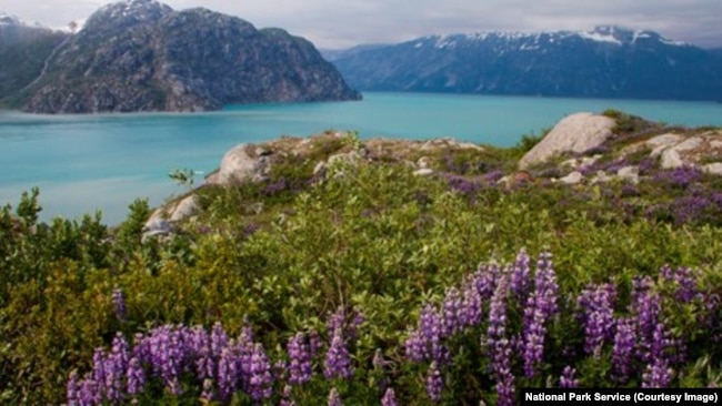 A fjord in Glacier Bay National Park