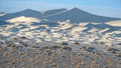 Sand dunes in Death Valley National Park.