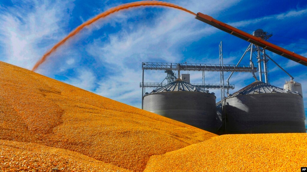 ��������ŵ���ݵ�����(2015��9��23��������Ƭ)