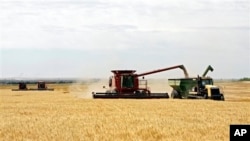 Wheat is harvested on a farm in the midwestern United States, July 2009 file photo.