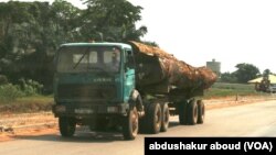 Des quantités considérables de bois abattues clandestinement en Guinée comme ailleurs dans la région sont destinées aux marchés asiatiques.