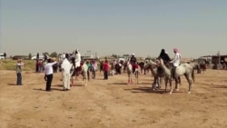 Horse Racing Festival Returns to Raqqa After Islamic State