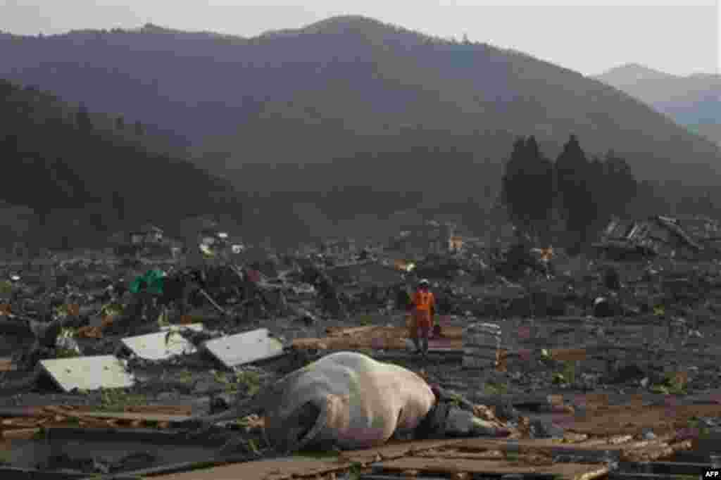 A Japanese rescue team member walks through the completely leveled village of Saito in northeastern Japan Monday, March 14, 2011. Rescue workers used chain saws and hand picks Monday to dig out bodies in Japan's devastated coastal towns, as Asia's richest