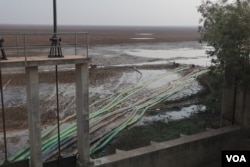 Farmers pumped water from Trapaing Thmar reservoir to their rice fields, in Banteay Meanchey province, Feb. 23, 2019 (Sun Narin/VOA Khmer)