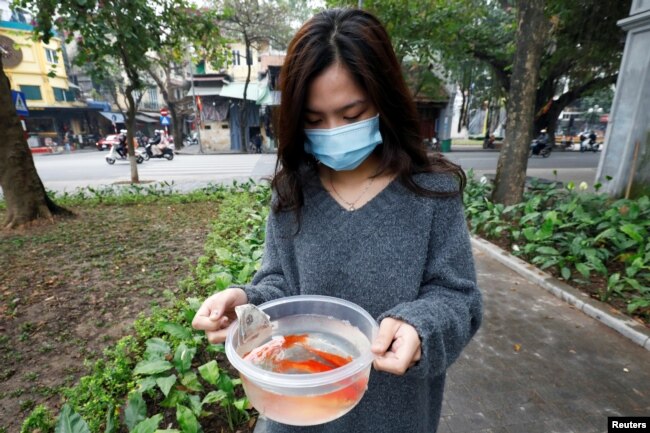A woman prepares to release carps to Hoan Kiem lake on Kitchen God's Day as part of the traditional Vietnamese Lunar New Year celebrations, the biggest festival of the year in Hanoi, Vietnam February 4, 2021. REUTERS/Kham