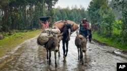 FILE - Villagers leave their homes near the village of Chenna Teklehaymanot, in the Amhara region of Ethiopia, on Sept. 9, 2021. The U.N. has said 274 million people in Ethiopia, Afghanistan, Yemen and other nations will need emergency humanitarian aid next year.